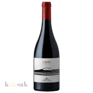 2020 Torre Mora Etna Rosso Cauru