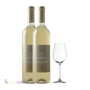 Château Cana – Les Cabires Blanc with Wine Glass