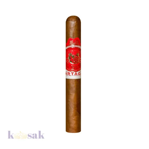 Partagas Cortado Toro / 6 X 52