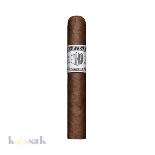 Punch Signature Robusto 54x5