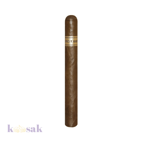 Romeo Y Julieta Churchill Tubo